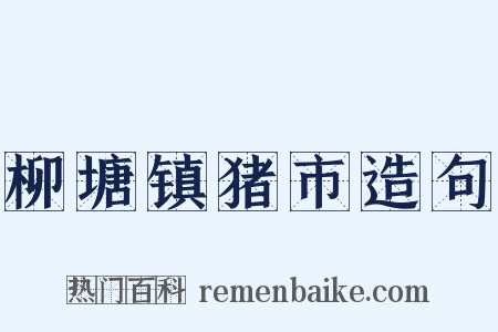 柳塘镇猪市造句是什么意思的图片
